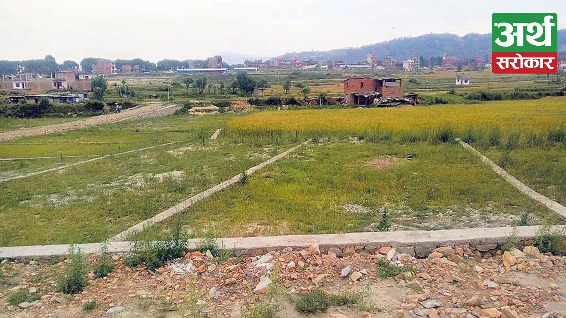 कञ्चनपुरमा बर्सेनि घट्दै खेतीयोग्य जमिन, उर्वर भूमिमा धमाधम घर बन्दै